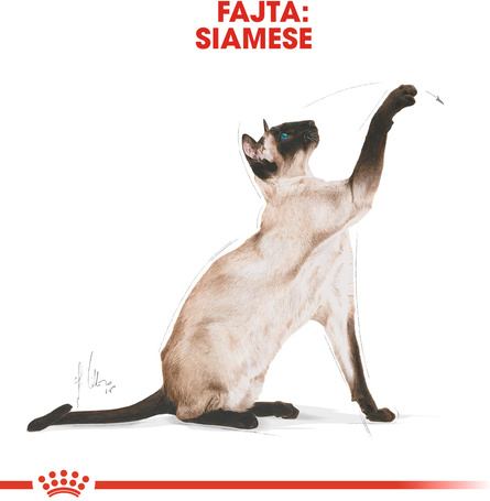 Royal Canin Siamese Adult - Sziámi felnőtt macska száraz táp
