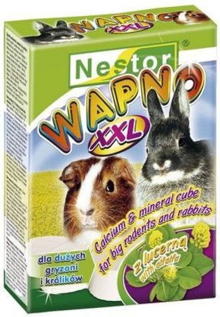 Nestor fogkoptató rágcsálónak