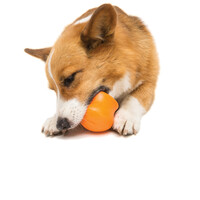 West Paw Toppl - Jutalomfalattal tölthető kutyajáték #10