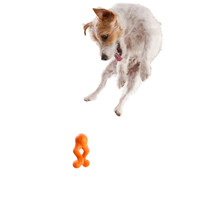 West Paw Tizzi - Multifunkcionális kutyajáték #3