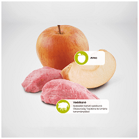 N&D Dog Adult Mini Boar & Apple Grain Free | Vaddisznóhúsos és almás kutyaeledel | Kistestű kedvenceknek #5
