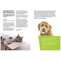 DMGuard T2 immunerősítő készítmény taurinnal macskáknak, kutyáknak, kisállatoknak, díszmadaraknak és díszhalaknak #7