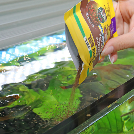 JBL ProNovo Bel Grano süllyedő akváriumi haleledel