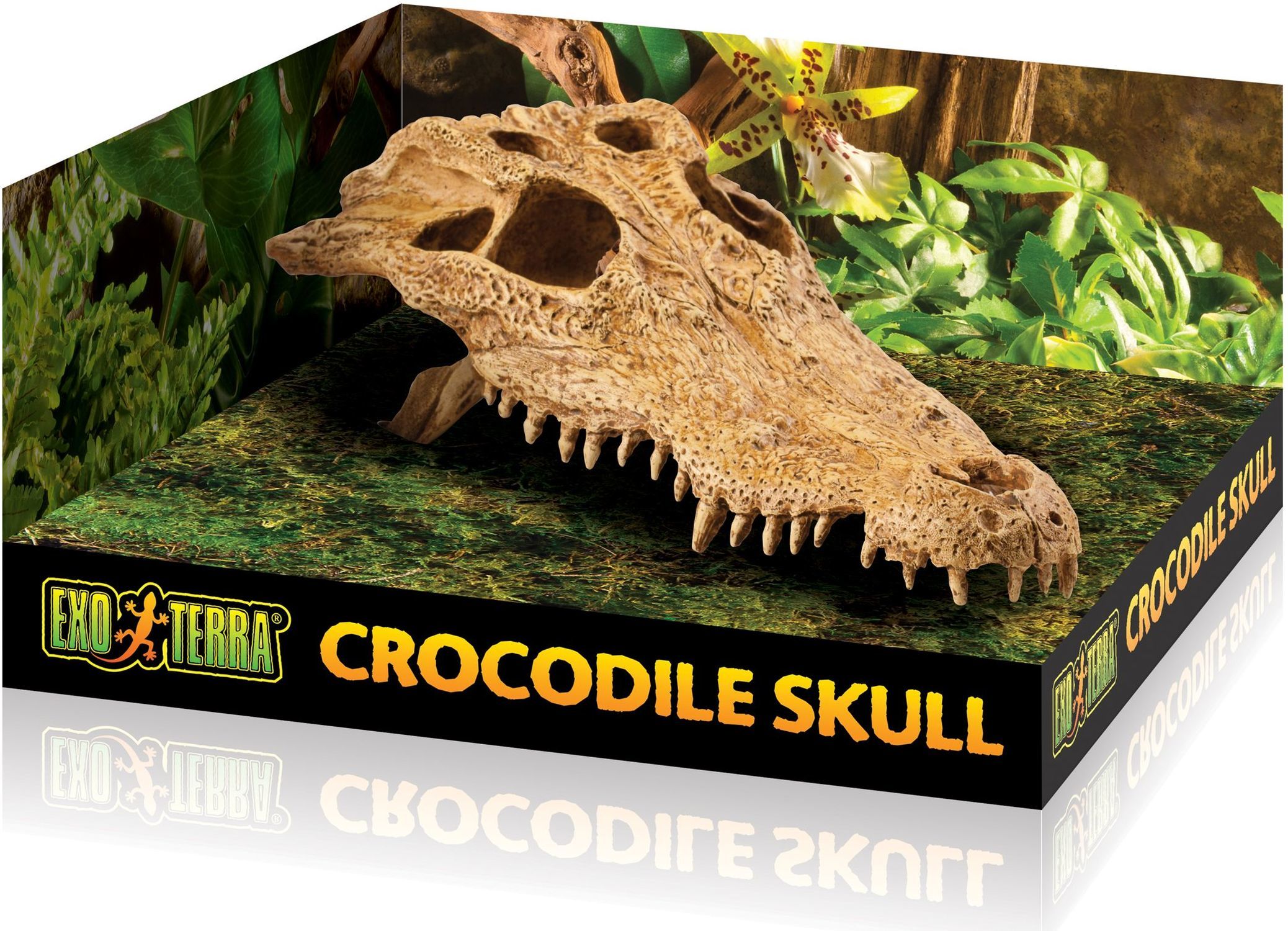 Exo Terra - Decor terariu, craniu de crocodil - zoom
