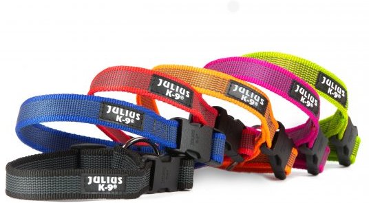 Julius-K9 Color & Gray zgardă pentru câini - zoom
