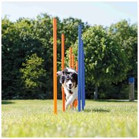 Trixie Dog Activity agility szlalom szett #3