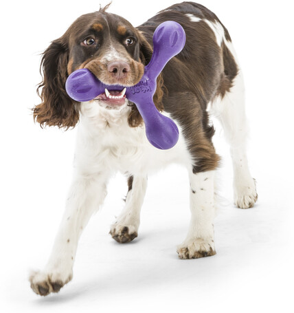 West Paw Skamp - Apport kutyajáték