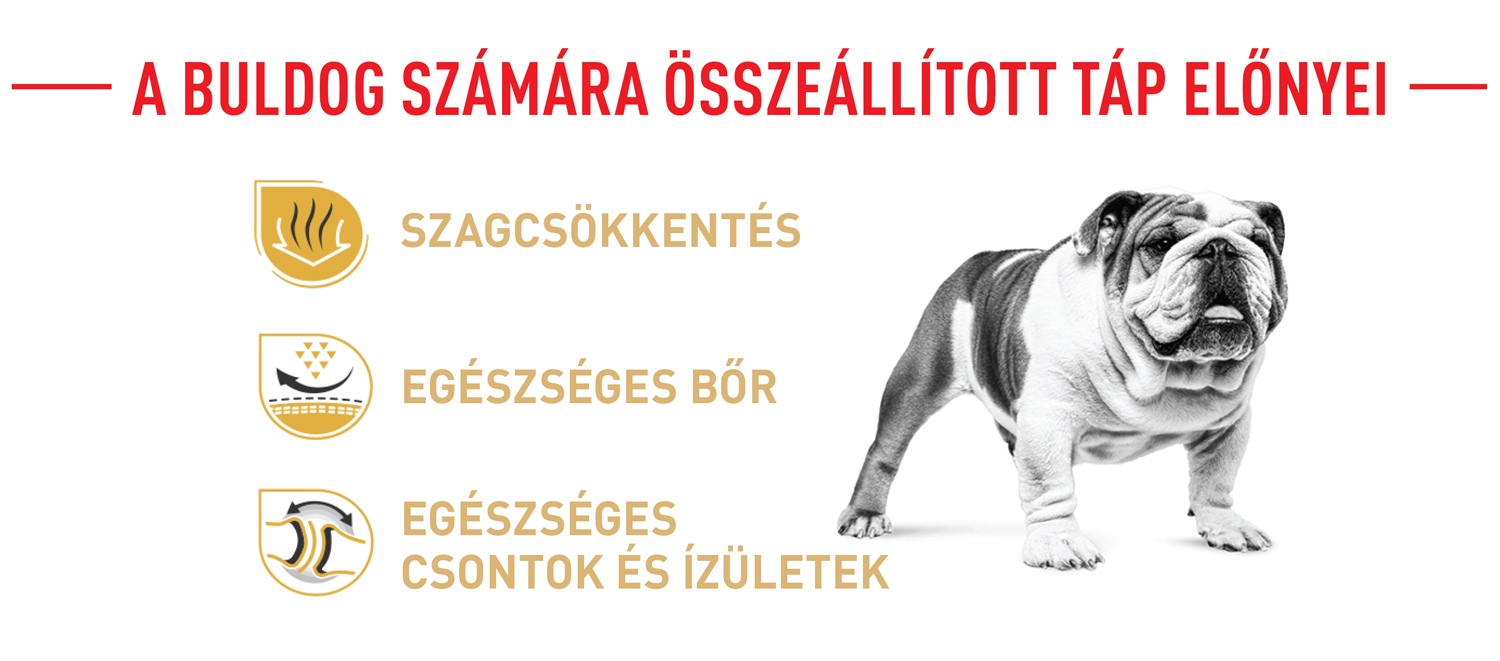 Royal Canin Bulldog Adult - Angol Bulldog felnőtt kutyatáp előnyei