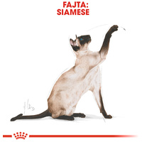 Royal Canin Siamese Adult - Sziámi felnőtt macska száraz táp #2