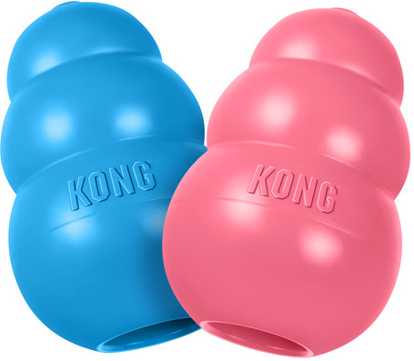 Kong Puppy Harang