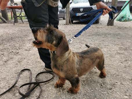 Marcus, 4 éves, kan