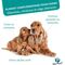 Pet-Phos CA/P 1.3 ízesített csonterősítő tabletta kutyáknak