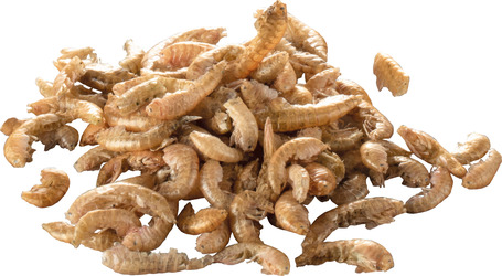 Tetra ReptoMin 3in1 Menu