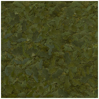 Sera Flora növényi lemezestáplálék spirulinával növényevő halaknak #3