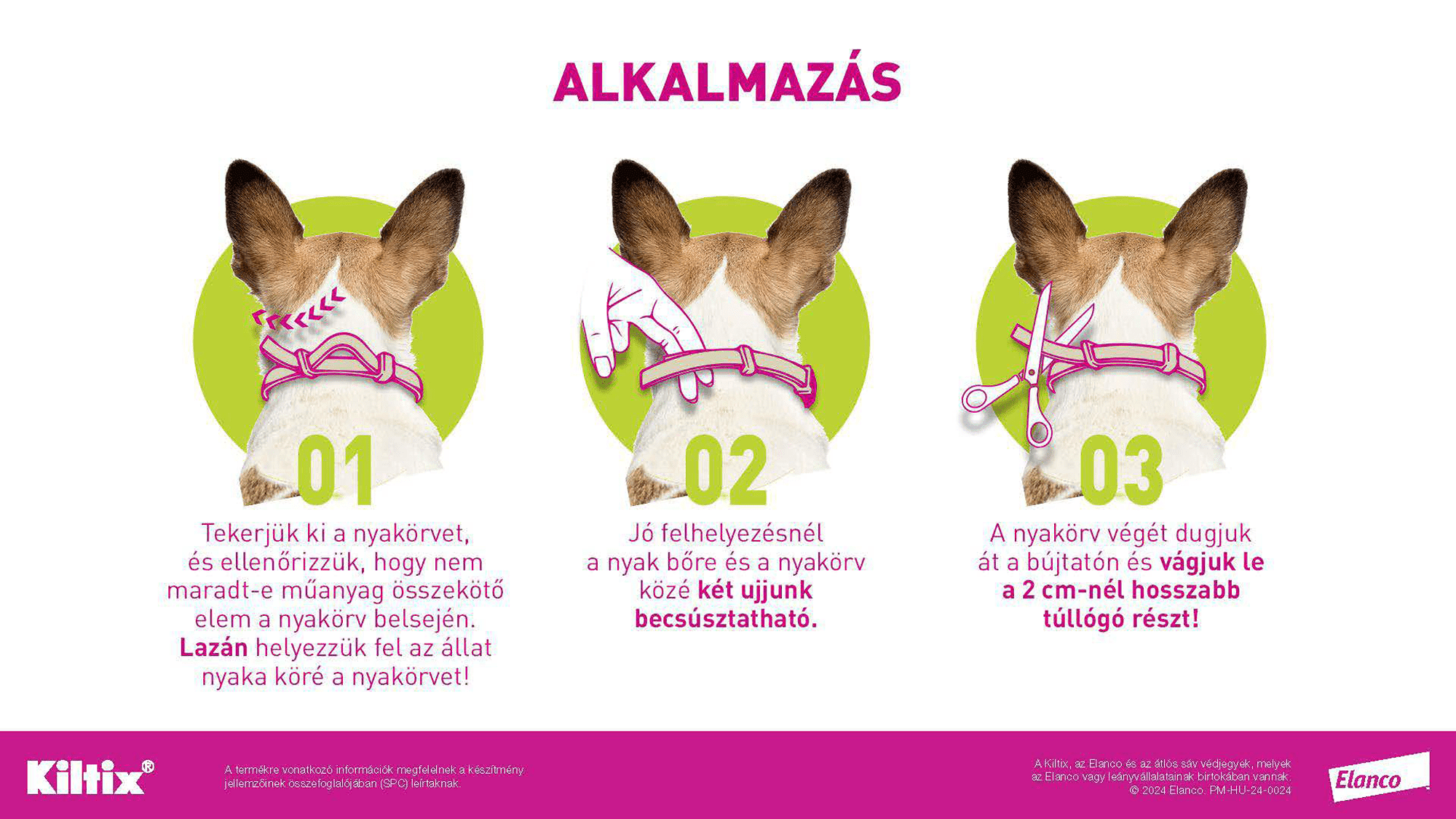 Zgardă Kiltix - zoom