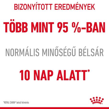 Royal Canin Digestive Care - Szószos nedves táp érzékeny emészétésű felnőtt macskák részére