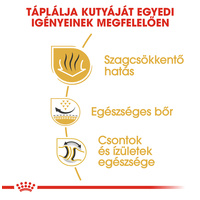 Royal Canin Bulldog Adult - Angol Bulldog felnőtt kutya száraz táp #4