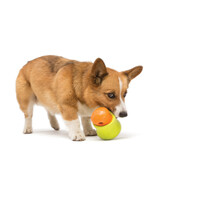 West Paw Toppl - Jutalomfalattal tölthető kutyajáték #19