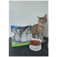 Platinum MeatCrisp Kitten Chicken kölyökmacskáknak #3