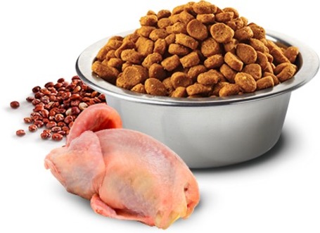 N&D Cat Grain Free Quinoa Skin & Coat Quail – Bőr- és szőrproblémákra