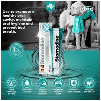 Stomodine antibakteriális szájfertőtlenítő, fogápoló gél #8