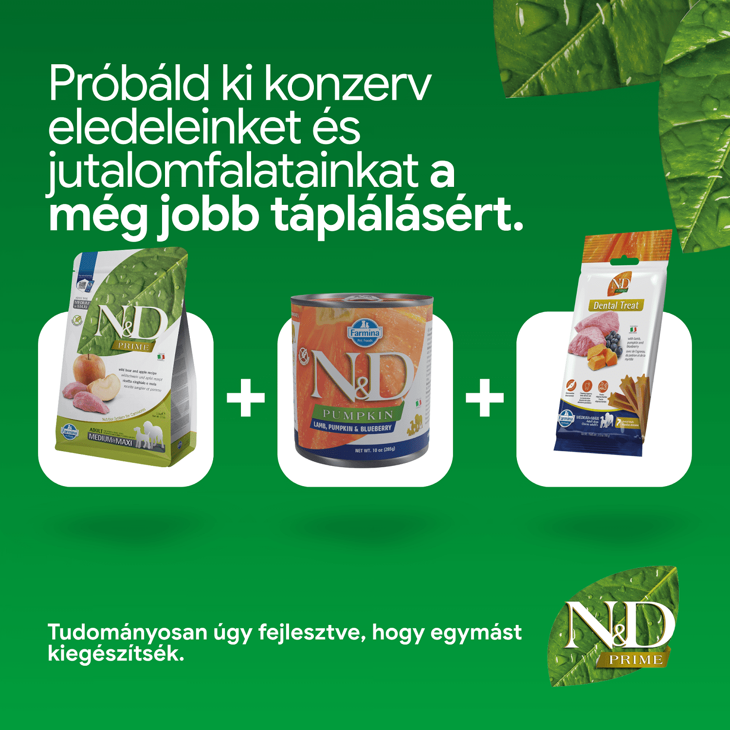 N&D Dog Adult Medium/Maxi Boar & Apple Grain Free - zoom