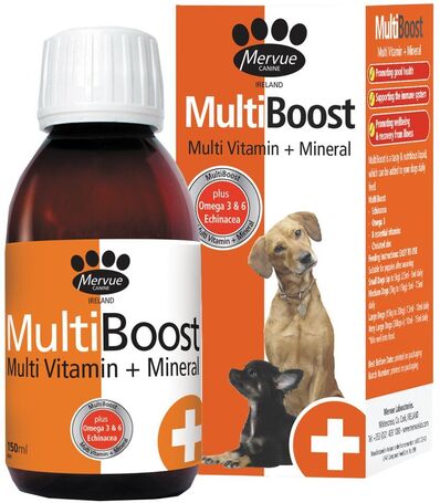 Mervue MultiBoost Dog szirup