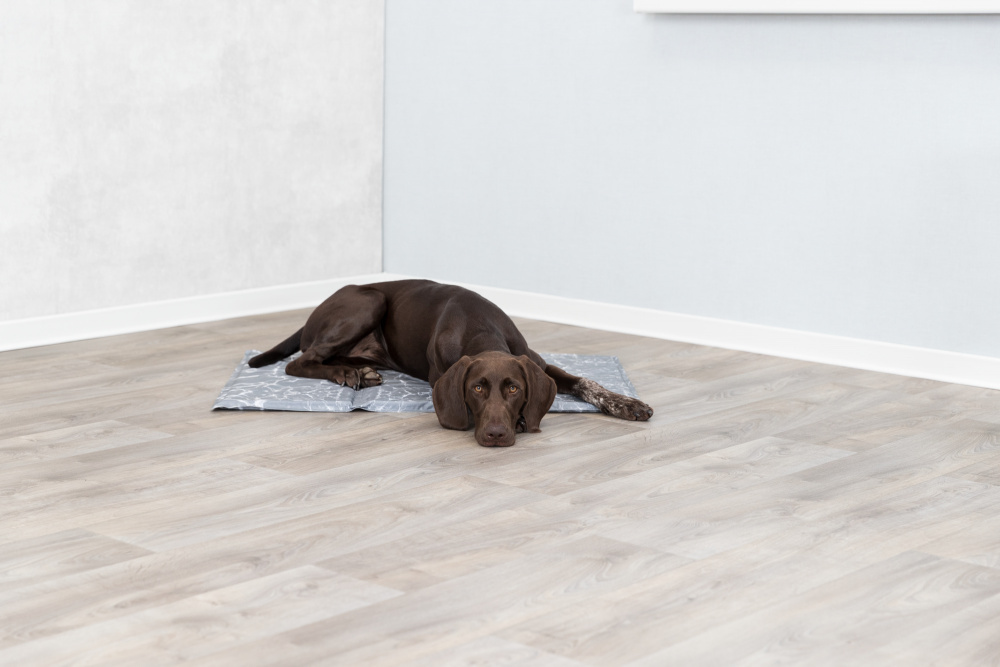 Trixie Soft Cooling Mat - Saltea răcoritoare pentru câini, de culoare gri - zoom
