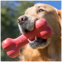 Kong Goodie Bone gumicsont #5