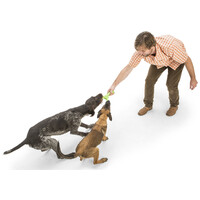 West Paw Skamp - Apport kutyajáték #9