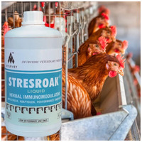 Stresroak stressz elleni, immunerősítő itatófolyadék #7