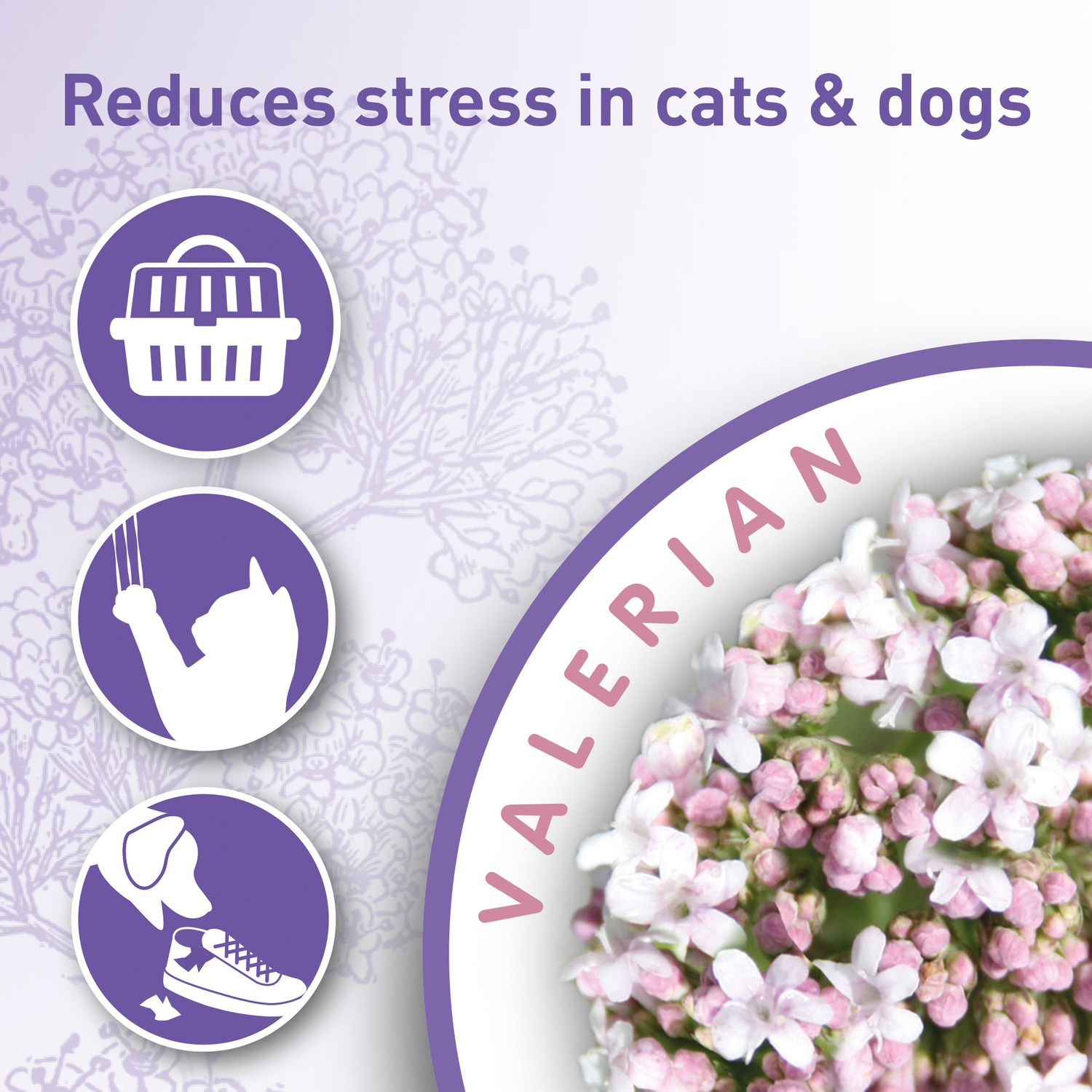 Beaphar Calming Home Spray - Spray calmant câini și pisici - zoom