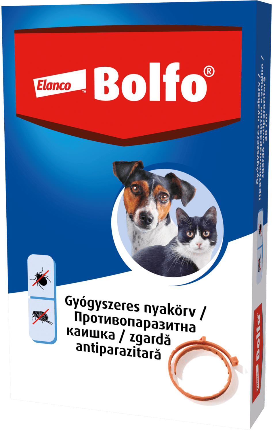 Zgardă Bolfo - zoom