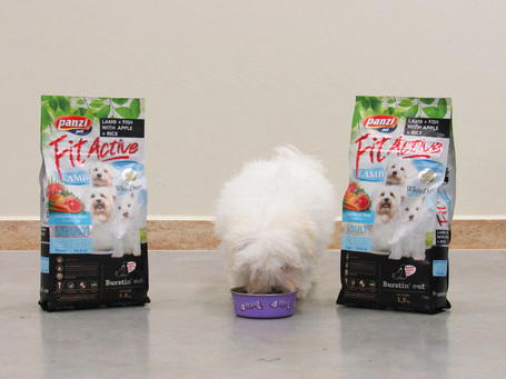 FitActive WhiteDogs Lamb & Fish with Apple & Rice | Táp fehérszőrű kutyáknak