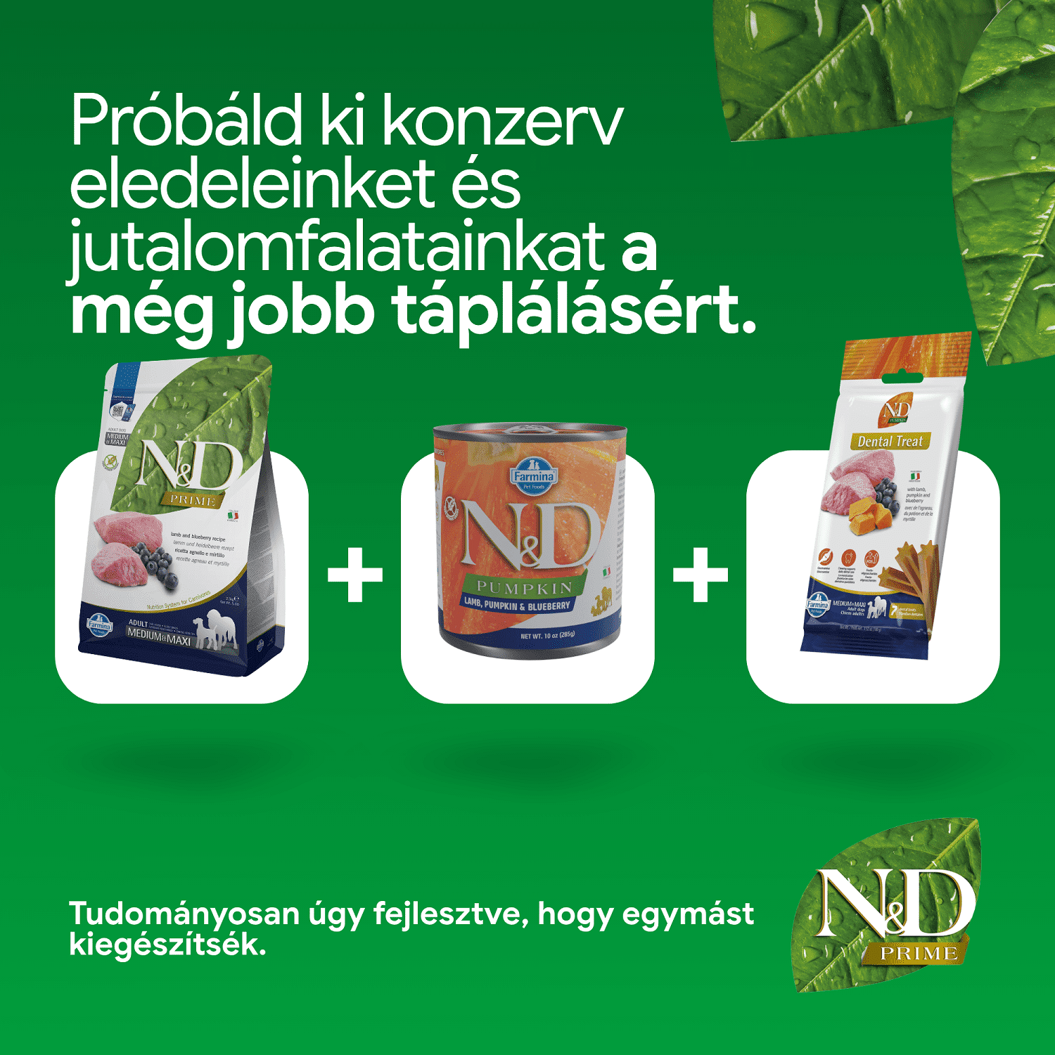 N&D Dog Prime Adult Medium & Maxi Lamb & Blueberry | Száraztáp közepes testméretű kutyáknak bárányhússal és vörös áfonyával