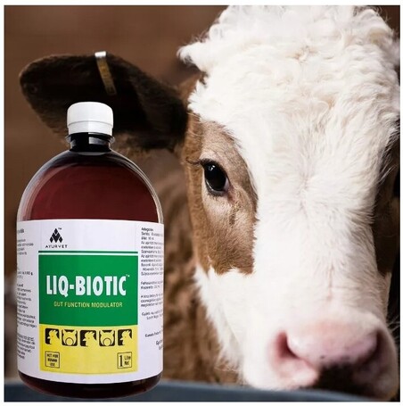 Liq-Biotic hasmenés elleni gyógynövényes itatófolyadék