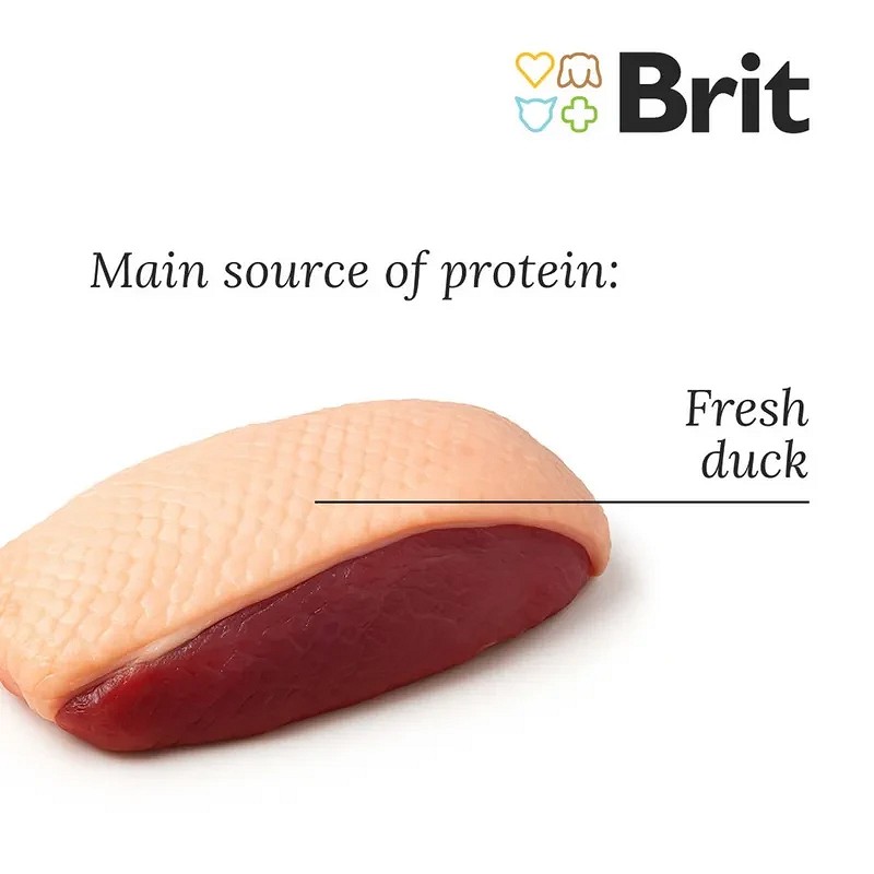 Brit Fresh Duck with Millet Adult Run & Work | Friss kacsahús kölessel
