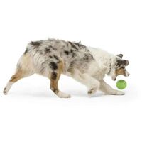 West Paw Rando - Üreges, össze-vissza pattogó labda #4