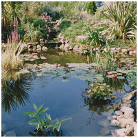 JBL FilterStart Pond baktérium inditó tavi szűrőhöz #3