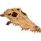 Exo Terra - Decor terariu, craniu de crocodil