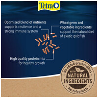 Tetra Goldfish Gold Japan #4