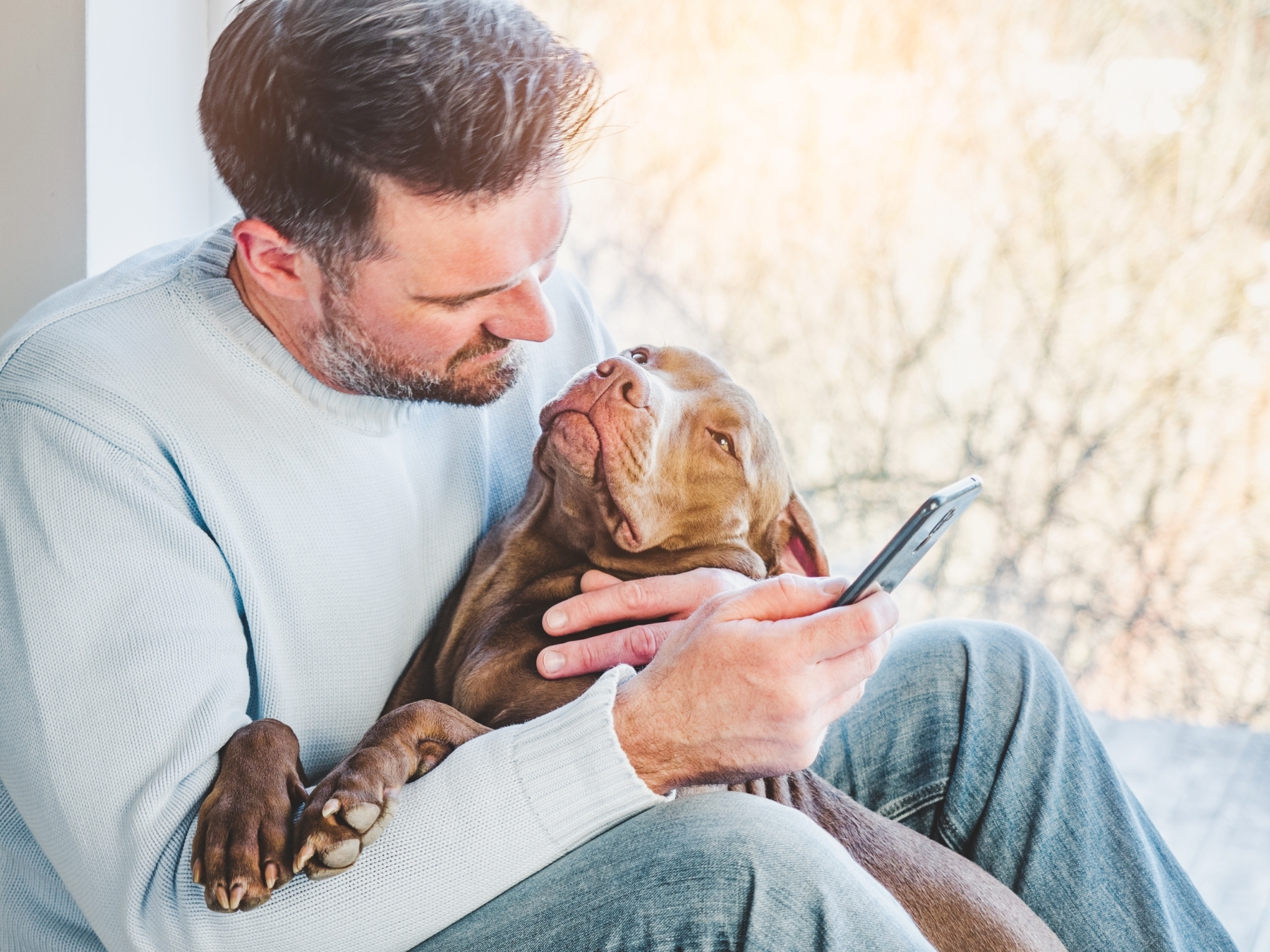 Férfi szeretetteljes pitbull kutyával az ölében