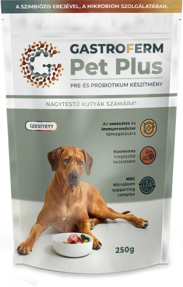 Gastroferm Pet Plus pre- și probiotic pentru câini mari