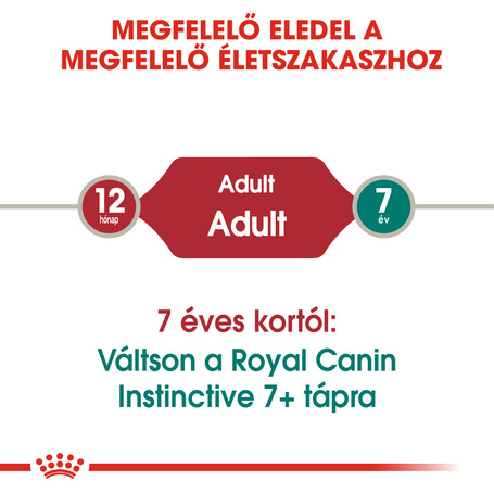 Royal Canin Instinctive Jelly - Felnőtt macska zselés nedves táp