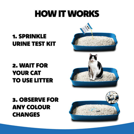 Dr Ted Cat Urine Test Kit - Hematuria / Blood