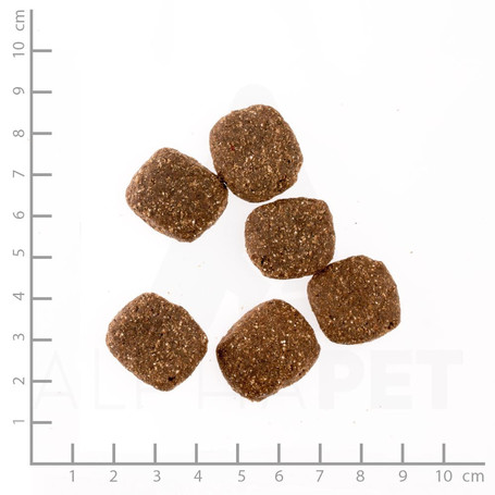 Belcando Adult Grain-Free Ocean táp tengeri halfajtákból, érzékeny kutyáknak | Gabonamentes