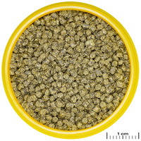 JBL ProNovo Shrimps Grano #3