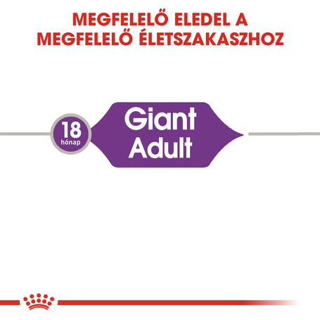 Royal Canin Giant Adult - óriás testű felnőtt kutya száraz táp