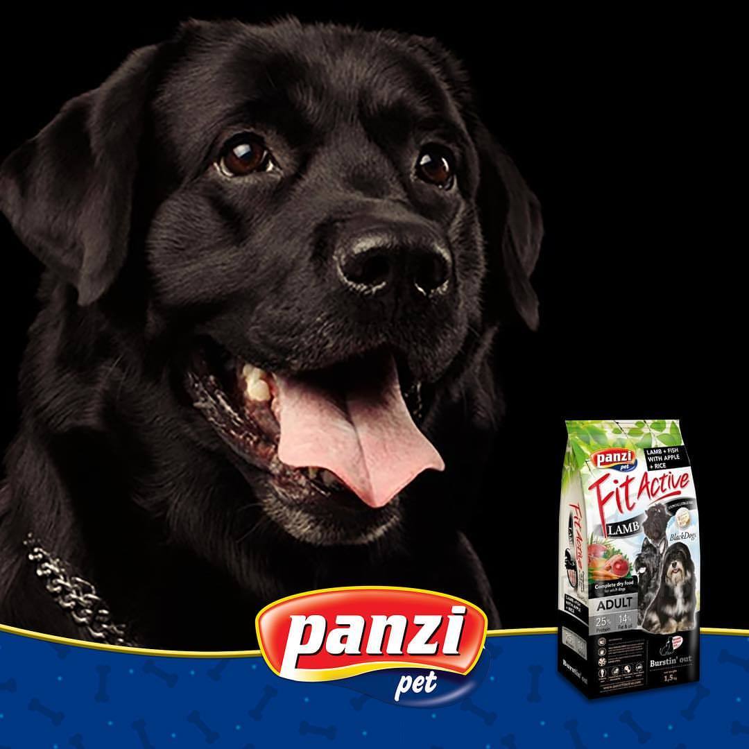 Panzi Fit Active BlackDogs