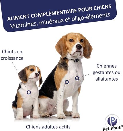 Pet-Phos CA / P = 2 ízesített csonterősítő tabletta kutyáknak